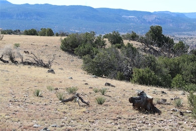 TRACT 5-C La Joya - Nm 96, Youngsville, NM 87604 - photo 4