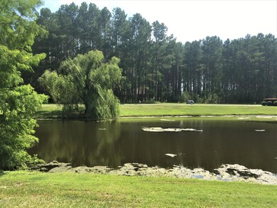 Summer View of Pond
