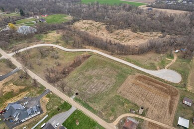 1053 Overlook Ct, Lodi Township, MI 48176 - photo 2