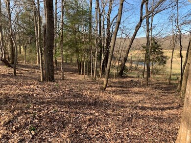 000 Big Bottom Rd, Sparta, TN 38583 - photo 3