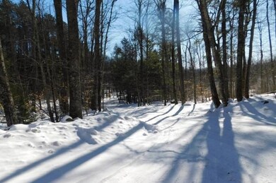 32 Purintan Rd, Newfane, VT 05345 - photo 3