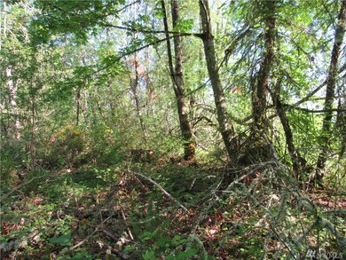 0 238th Ave E, Orting, WA 98360 - photo 5