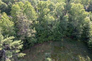 ON Malby Lake Rd, Minocqua, WI 54548 - photo 7