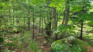 TBD Valley Rd, New Durham, NH 03855 - photo 4