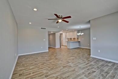 10512 W Caron Dr, Sun City, AZ 85351 - photo 7