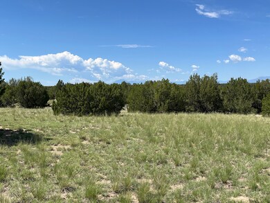 0 Railroad Springs Rd unit 11285260, Pueblo, CO 81004 - photo 7