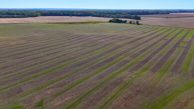 0 U S 23, South Bloomfield, OH 43103 - photo 4