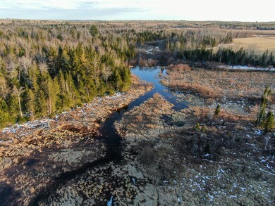 DJI_0256