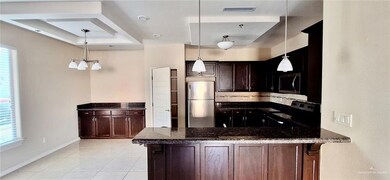 Kitchen with a peninsula, dark stone counters, stainless steel appliances, dark brown cabinets, and a raised ceiling