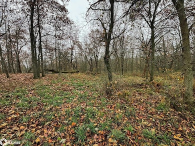 27582 485th St, Rathbun, IA 52544 - photo 6