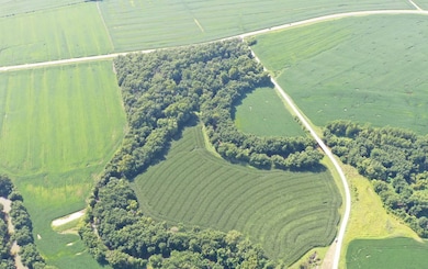 2 Hwy 5 and Doxie Ave, Glasgow, MO 65254 - photo 6