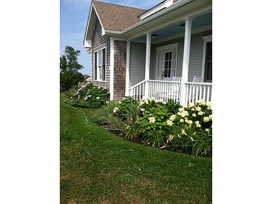 Yard/Garden. Landscape in bloom