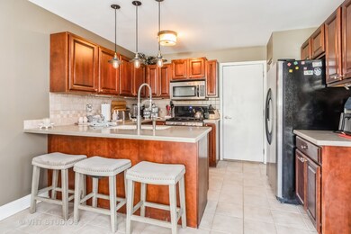 3955 Garnette Ct, Naperville, IL 60564 - photo 4