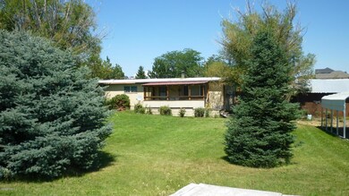 Mature Landscaping