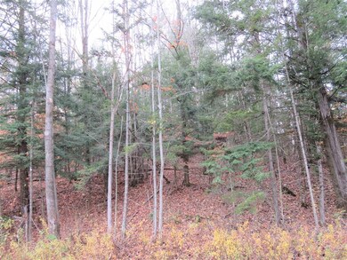 0 E Hill Rd unit 4889279, Troy, VT 05859 - photo 6