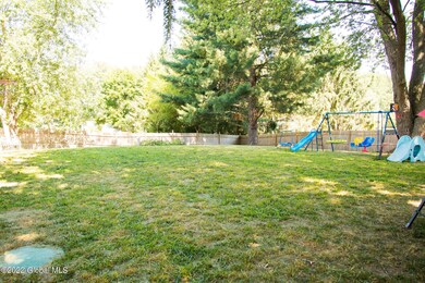 back yard 1