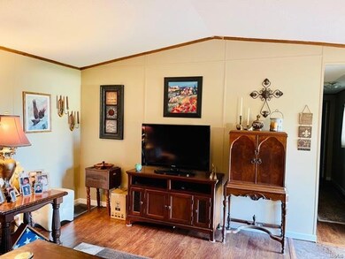 22 Mott St, New Madrid, MO 63869 - photo 5