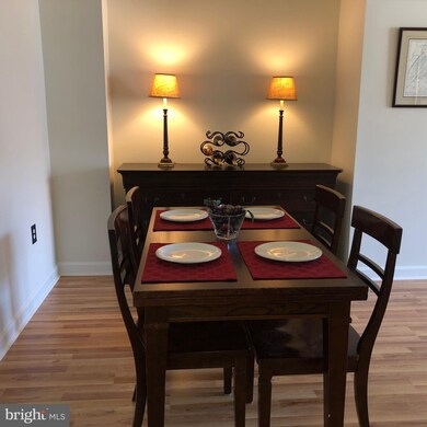 22579 Blue Elder Terrace, Ashburn, VA 20148 - photo 7