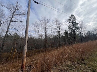 0000 Sunshine Dr, Sparta, GA 31087 - photo 2