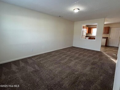 205 Appaloosa Dr, Jacksonville, NC 28540 - photo 3