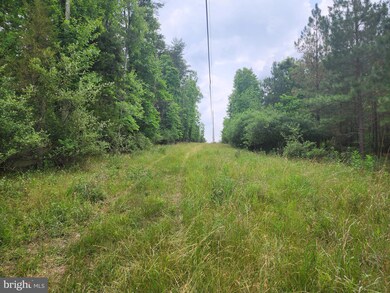 0 Golliday Ln unit WVMO2003238, Great Cacapon, WV 25422 - photo 7