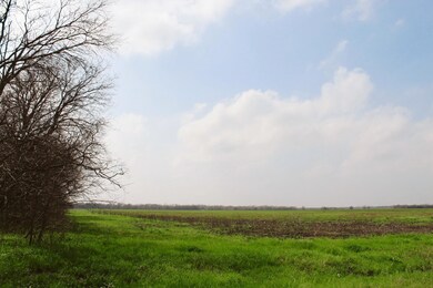 Tract 1 Sandswitch Rd, Ennis, TX 75119 - photo 5