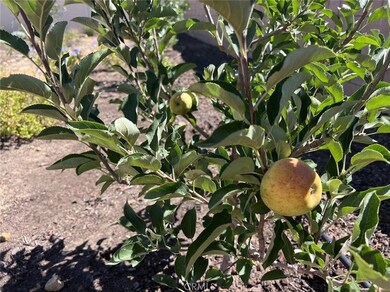 45766 Altree Ct, Temecula, CA 92592 - photo 7