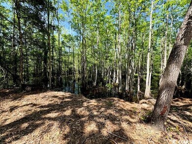 1886 Gemini Cir, Conway, SC 29527 - photo 3