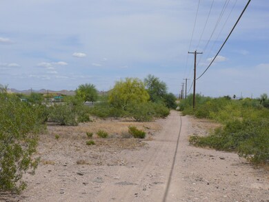 P1170781