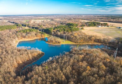 15319 Laminack Rd, Carterville, IL 62918 - photo 3