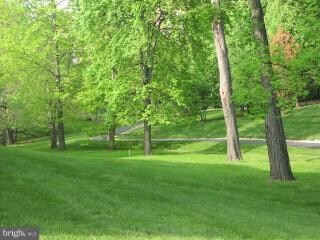 11323 Commonwealth Dr unit 301, Rockville, MD 20852 - photo 6