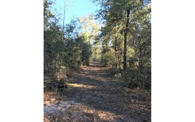 531 Roberts Ave, Fort White, FL 32038 - photo 2