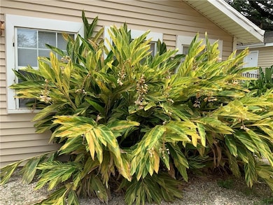 Tropical landscaping ....