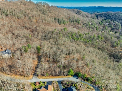 211 Ladys Fern Trail, Laurel Park, NC 28739 - photo 4