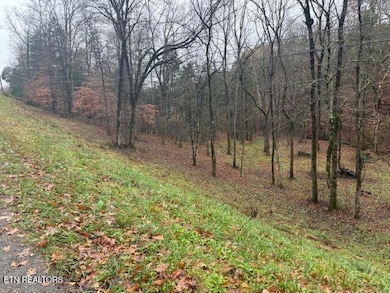 0 Lot 13 14 Highland Tr unit 1322791, Sharps Chapel, TN 37866 - photo 3