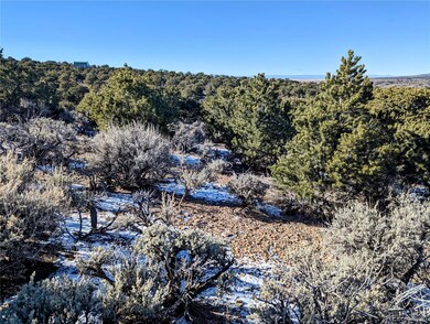 Lot 3840 Murray Rd, Fort Garland, CO 81133 - photo 6