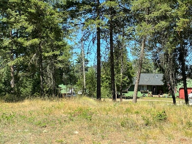 3741 N Deer Lake Rd, Loon Lake, WA 99148 - photo 4