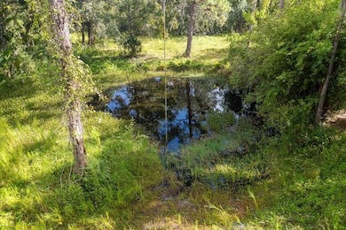 1220 NE 342nd Trail, Okeechobee, FL 34972 - photo 5