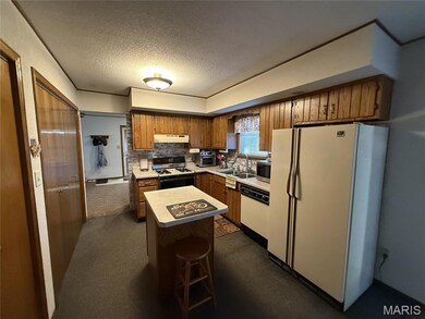 1458 N Carlyle Rd, Vandalia, IL 62471 - photo 6