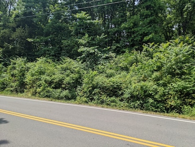 0 Bluff Rd unit RTC2823780, Brentwood, TN 37027 - photo 3