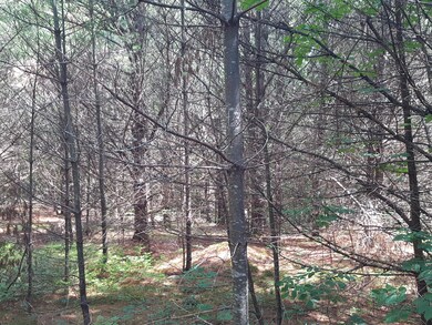 11 Harrison Rd, Naples, ME 04055 - photo 6