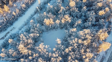 49246 S Hunter Dr, Willow, AK 99688 - photo 3