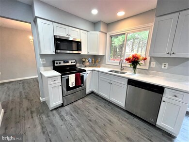 20301 Beehive Ln, Germantown, MD 20876 - photo 3