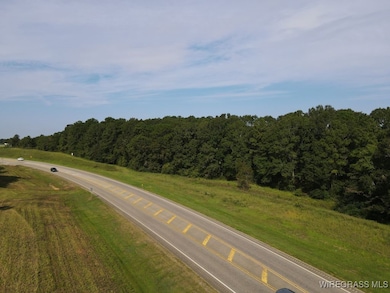 72.75 ac. Boll Weevil Cir, Enterprise, AL 36330 - photo 4