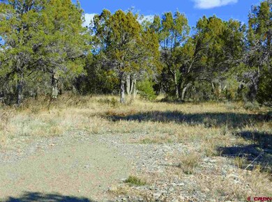 0 Uintah Rd unit 752141, Cedaredge, CO 81413 - photo 5