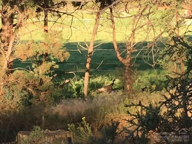 unlisted-address, Bend, OR 97703 - photo 6