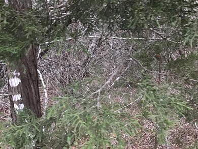 33034 Woodcrest Dr, Whitney, TX 76692 - photo 5