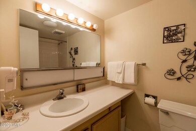 9_vail_23_interior_bath01