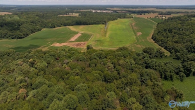 4 Acres Carters Gin Rd, Toney, AL 35773 - photo 3