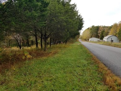 385 Doug Luna Rd, Walling, TN 38587 - photo 4